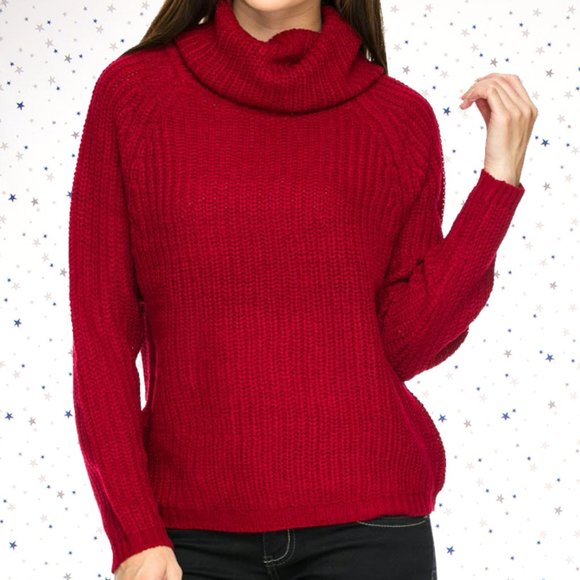 Raglan Long Sleeve Turtle Neck Knit Sweater - Picture 6 of 7
